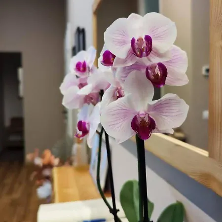 Arcobaleno - 2 Min Walk To Bernina Express 4* Tirano